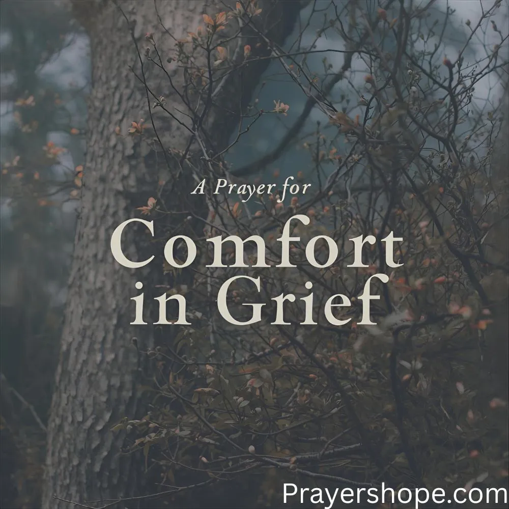Prayer for Comfort in Grief