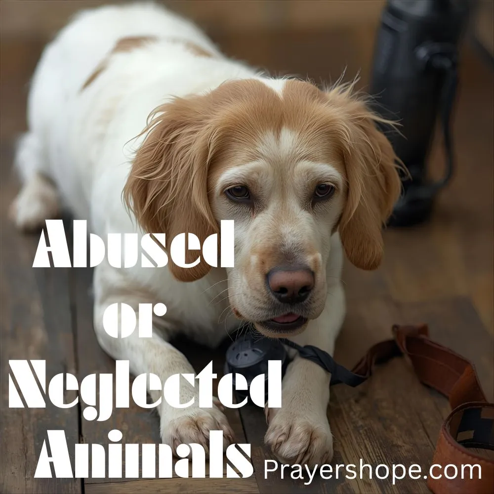 Prayer for Abused or Neglected Animals