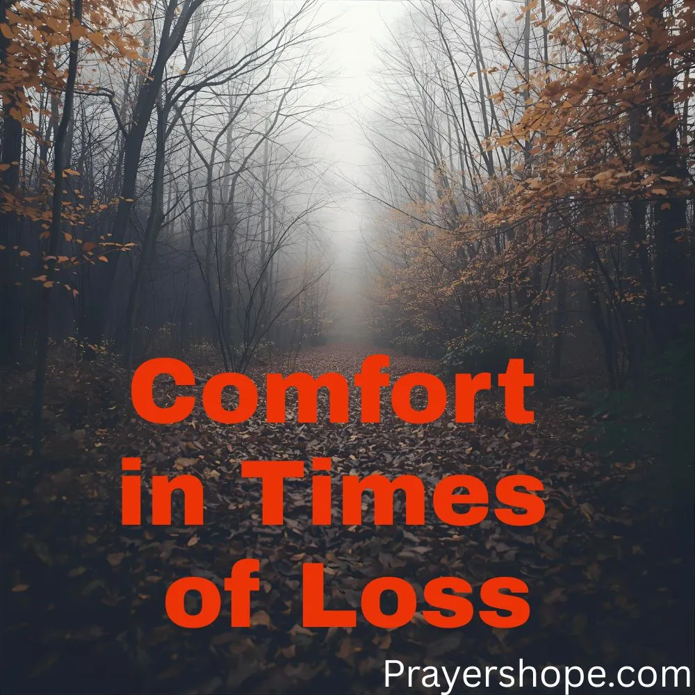 Prayer for Comfort in Times of Loss